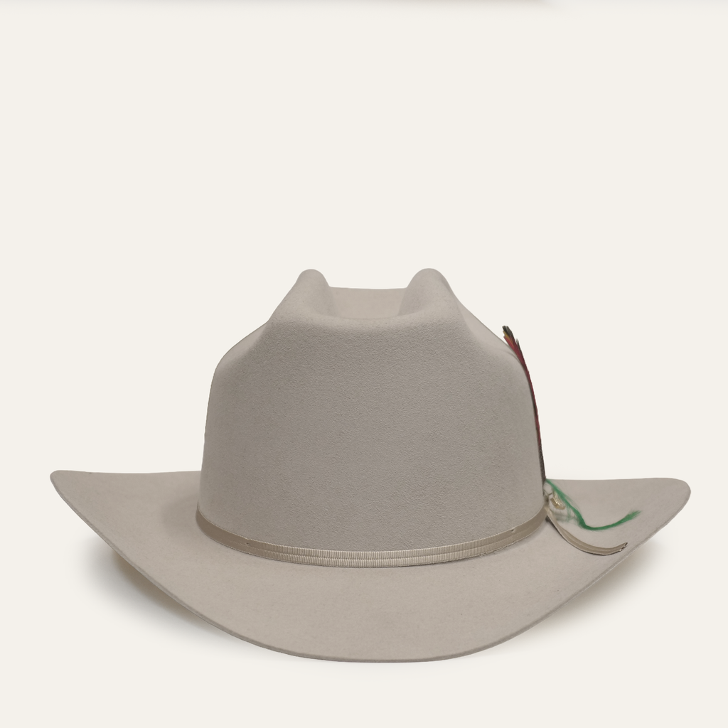 Ariat men's felt cowboy hat with wide brim and decorative feather hatband detail