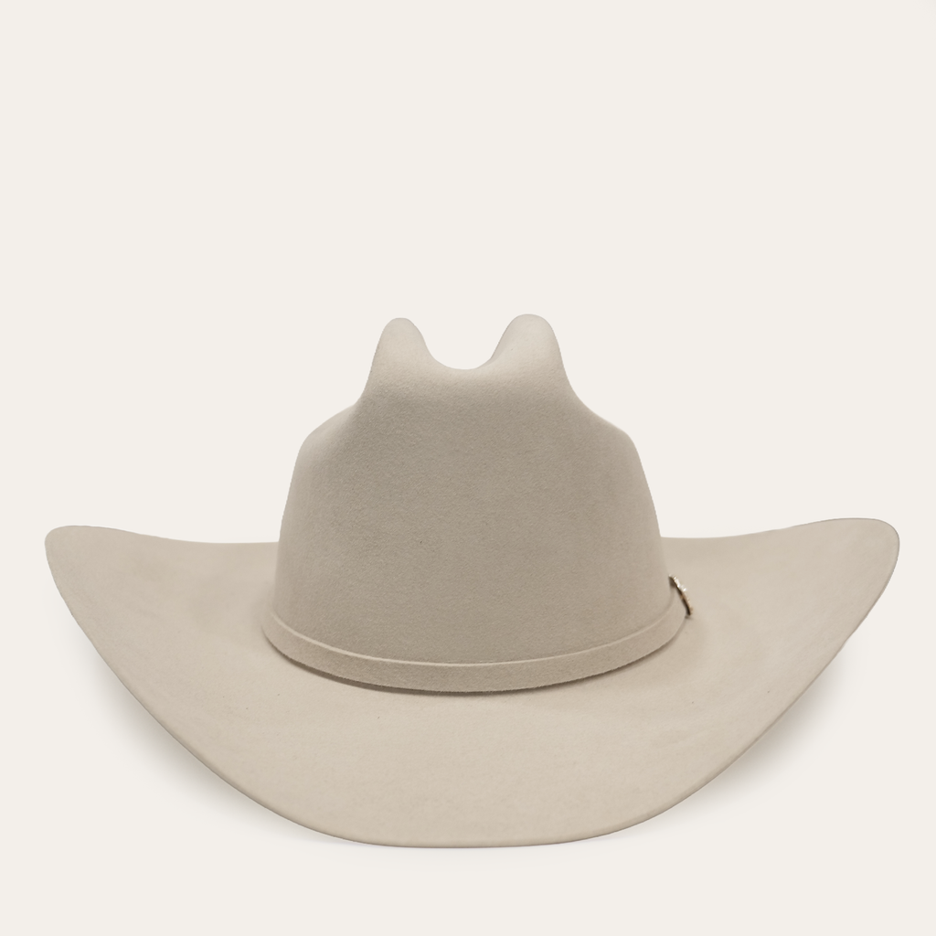 Ariat felt cowboy hat with wide brim and pinched crown, back view