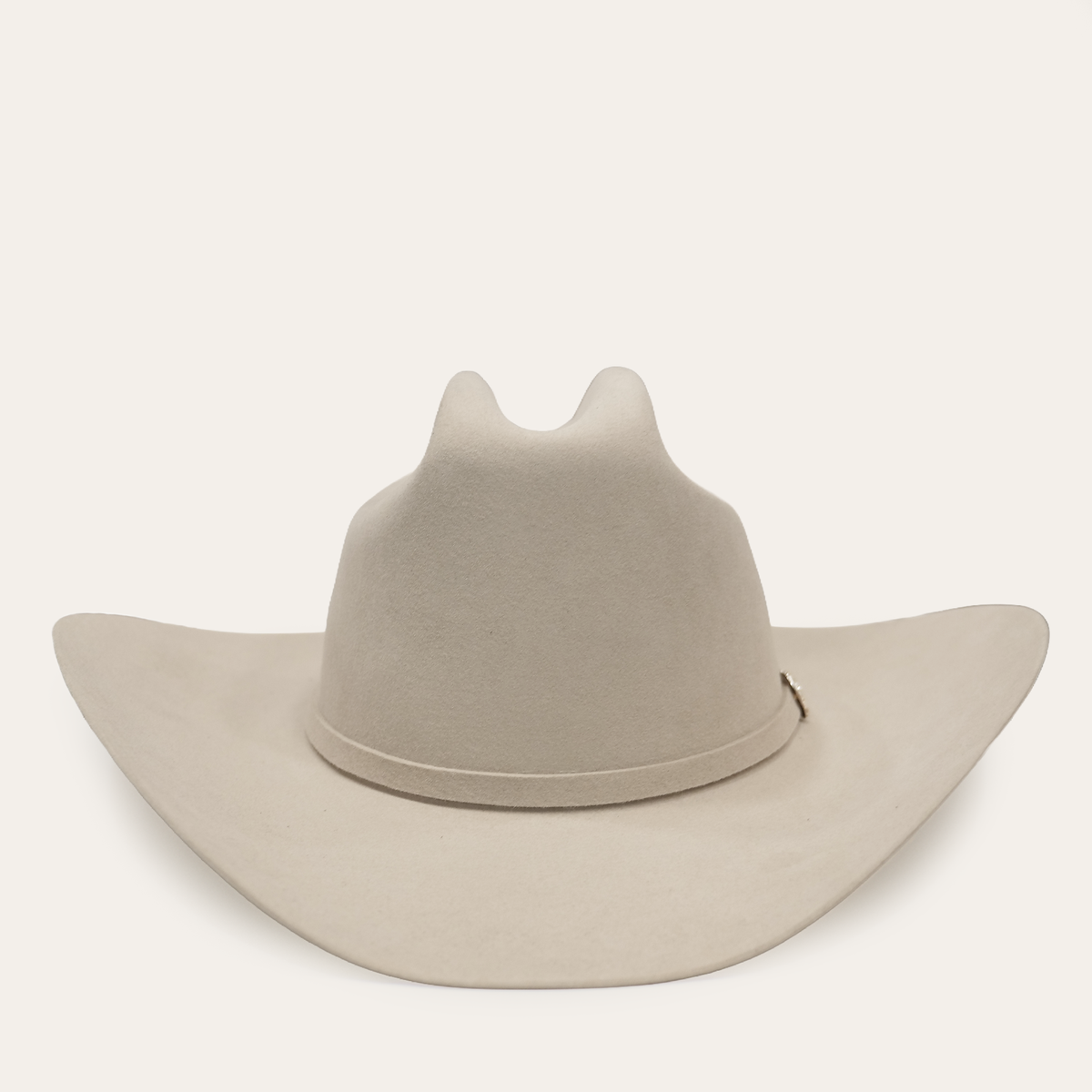 Ariat felt cowboy hat with wide brim and pinched crown, back view