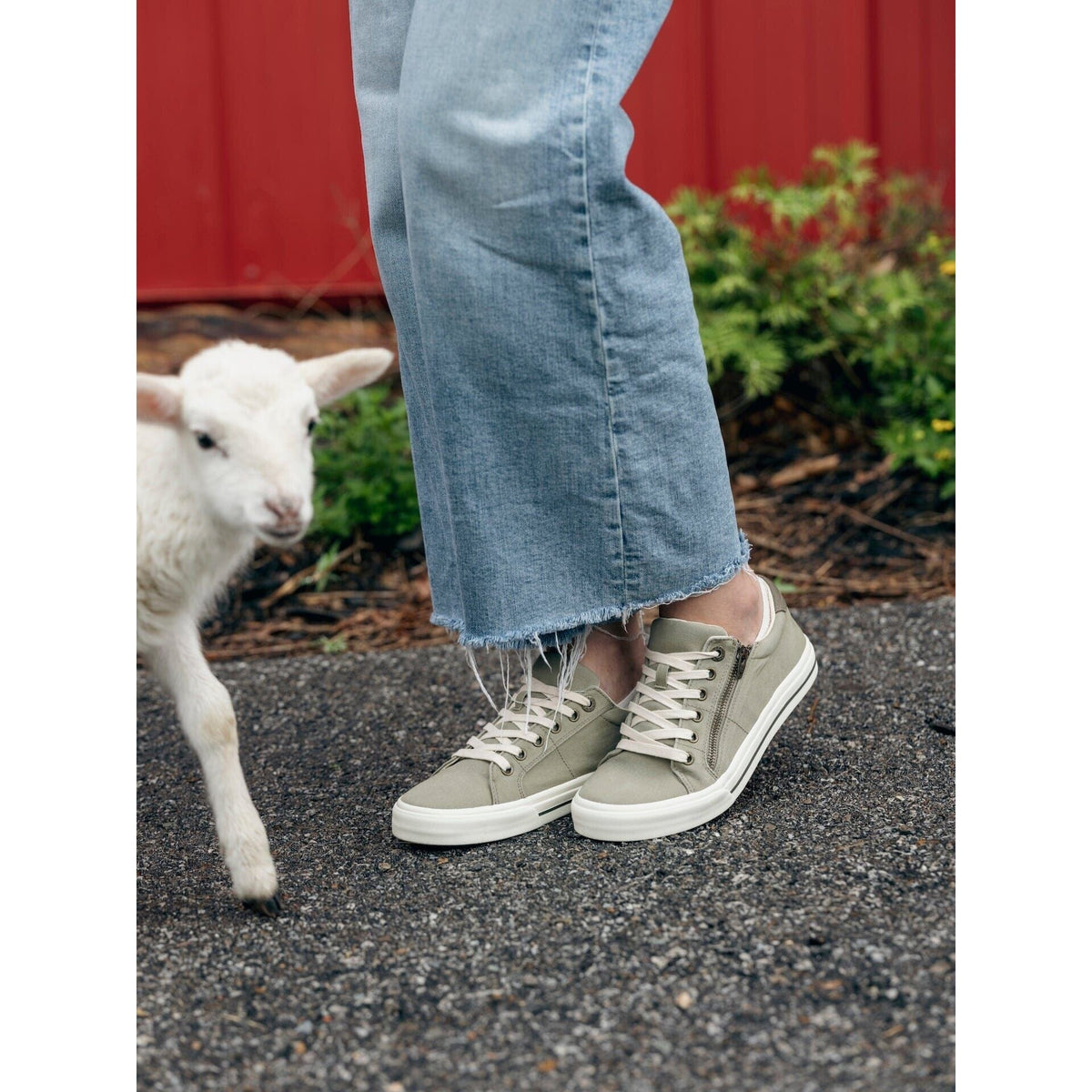 Woman wearing sage olive lace-up sneakers with side zipper, paired with cropped jeans near a lamb
